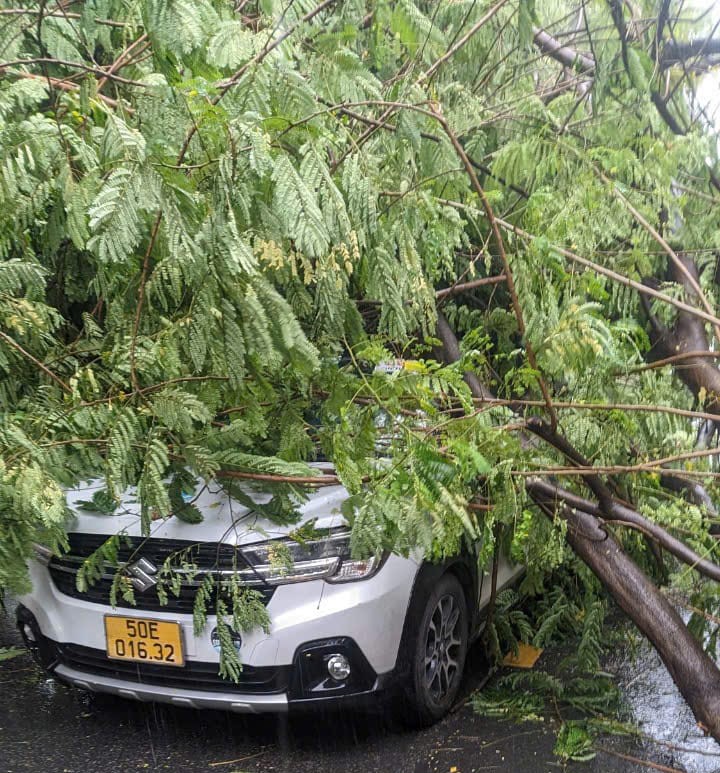 Thành phố Hồ Chí Minh có mưa to kèm dông lốc, cây gãy đổ đầy đường