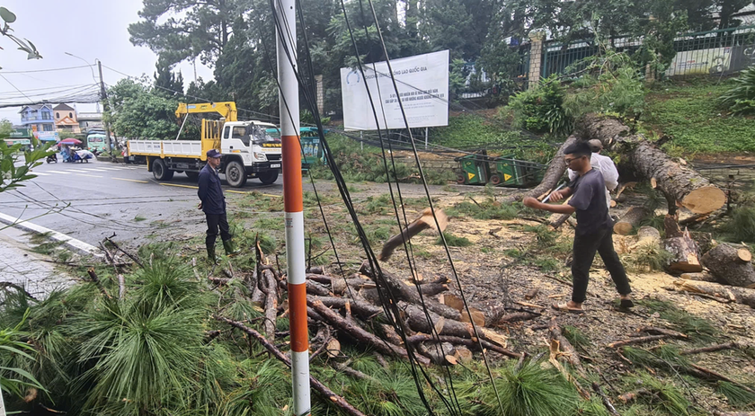 Cơ quan chức năng xử lý thông ngã đổ, giải phóng hiện trường để các phương tiện có thể lưu thông