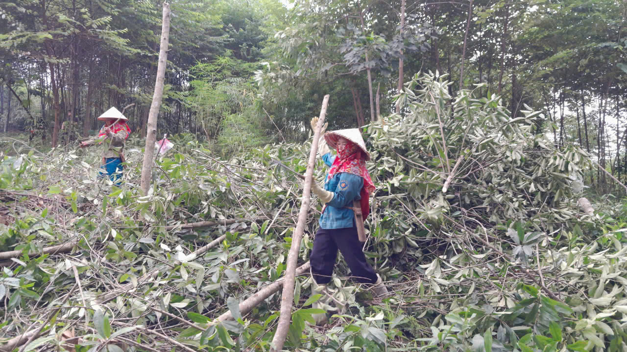 Cấp bách lo cho dân vùng bão lũ, nhìn từ thông điệp của Thủ tướng: Quyết tâm dựng lại những ngôi làng sau lũ - Ảnh 4.