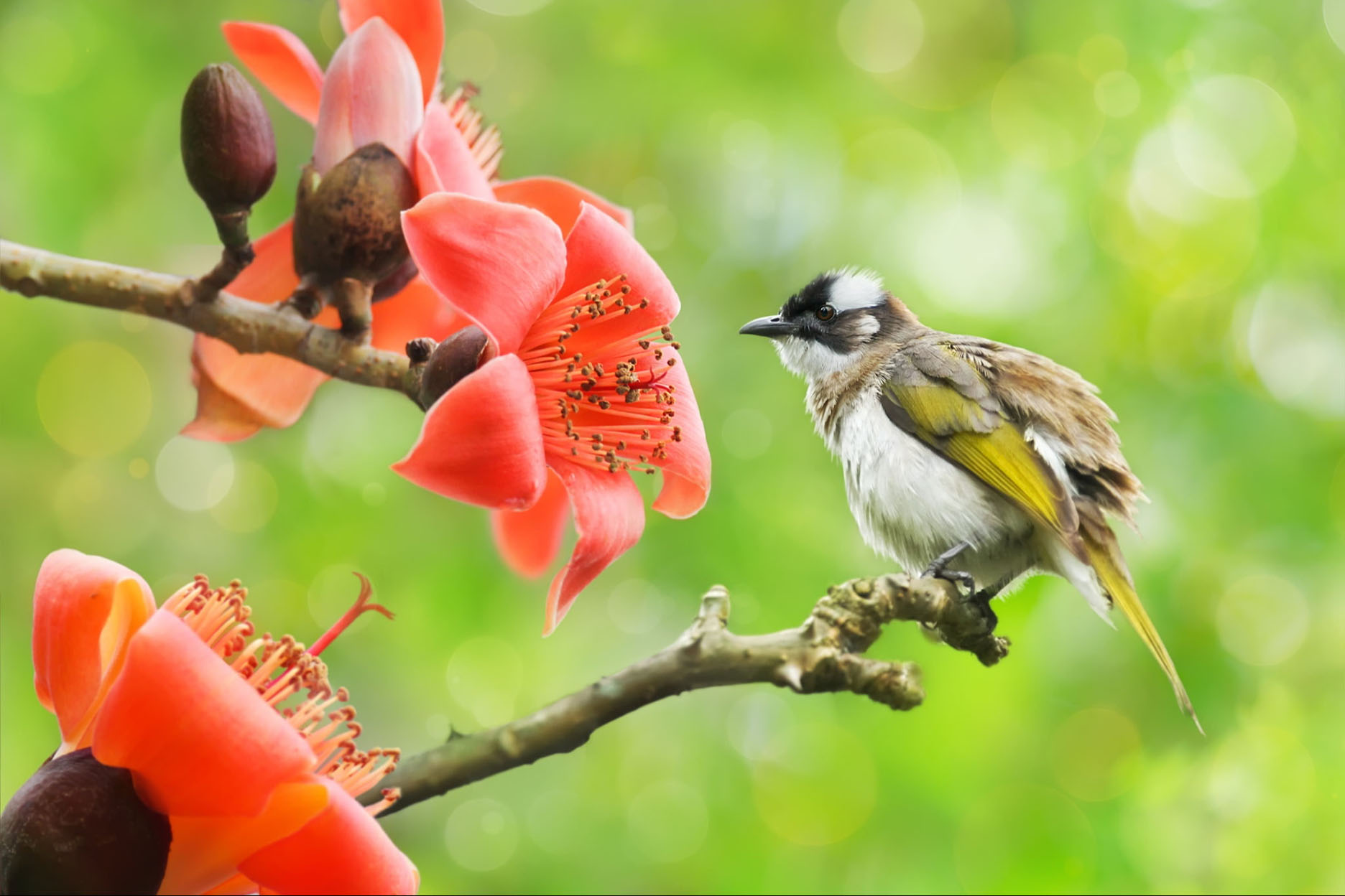 Quý 4 thịnh vượng, 4 con giáp có cơ hội xoay chuyển, thu hái lộc lá, cuối năm không lo cơm ăn áo mặc - Ảnh 1.